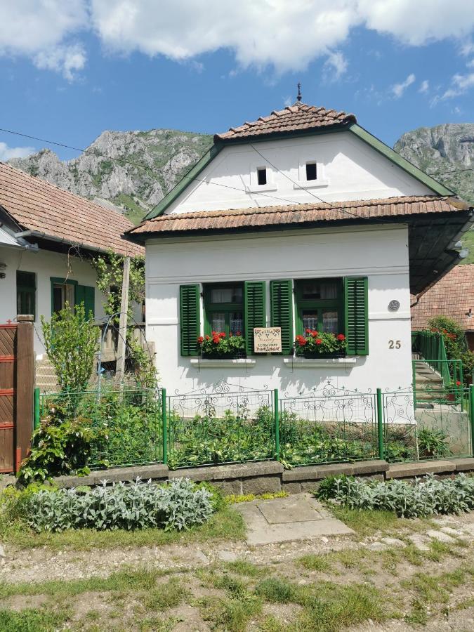 Kristaly Vendeghaz Hotel Rimetea Buitenkant foto