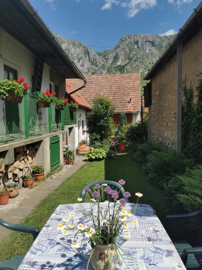 Kristaly Vendeghaz Hotel Rimetea Buitenkant foto